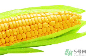 新鮮玉米怎么保存？鮮玉米怎么保存？
