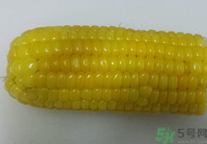 煮熟的玉米能釣魚嗎？煮熟的玉米能直接釣魚嗎？