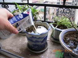 牛奶過期了還能喝嗎？牛奶過期了如何利用？