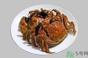 吃大閘蟹配什么酒好？大閘蟹和什么酒搭配最好吃