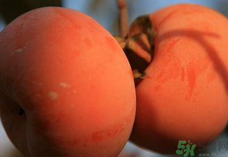 大柿子不能和什么同吃？大柿子和什么食物相克？