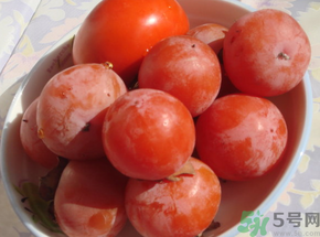 凍柿子和酸奶可以一起吃嗎？凍柿子和酸奶會中毒嗎？