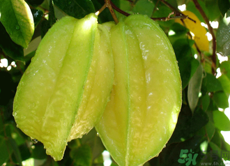 10月份吃什么水果好？十月份吃什么水果？