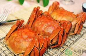 十月份吃公蟹還是母蟹？10月份吃公蟹還是母蟹？