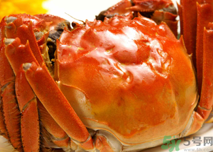 十月份吃公蟹還是母蟹？10月份吃公蟹還是母蟹？