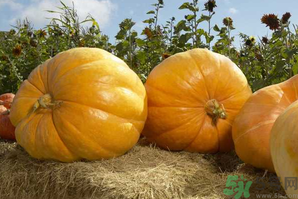 十月份吃什么蔬菜？10月份吃什么蔬菜？