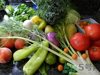 上火喝什么湯好?上火喝什么湯可以敗火 上火喝什么湯好?上火喝什么湯可以敗火