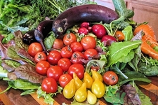 上火喝什么湯好?上火喝什么湯可以敗火 上火喝什么湯好?上火喝什么湯可以敗火