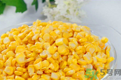 秋天釣魚用什么餌料？秋季釣魚用什么餌料好？