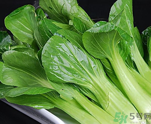 青菜可以放冰箱嗎？青菜能放冰箱保鮮嗎？