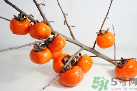 脆柿子哪個(gè)季節(jié)的？脆柿子什么時(shí)候吃最好？