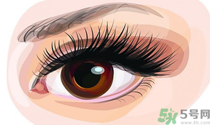 秋天適合割雙眼皮嗎？秋天割雙眼皮好嗎？