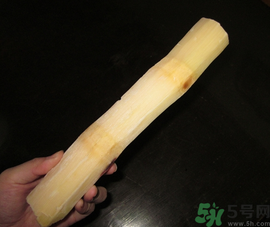 甘蔗可以放冰箱嗎？甘蔗放冰箱能保存多久？