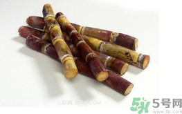 甘蔗可以止咳嗎？甘蔗可以治咳嗽嗎？