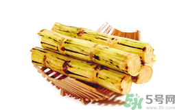 甘蔗可以止咳嗎？甘蔗可以治咳嗽嗎？