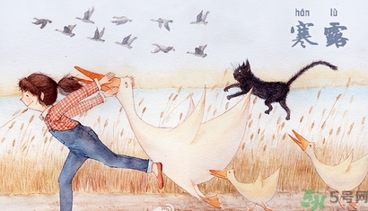 寒露吃什么好？寒露食療