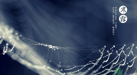 寒露吃什么好？寒露食療