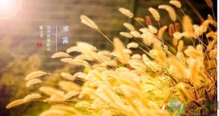 寒露吃什么好？寒露食療