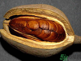 向天果多少錢(qián)一斤？向天果價(jià)格