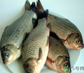 秋天釣鯽魚用什么餌料？秋天釣鯽魚用什么味餌？