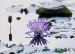 寒露穿什么鞋子？寒露可以穿涼鞋嗎？