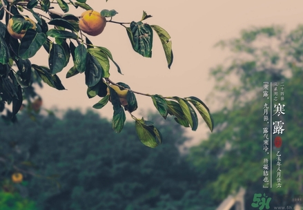 寒露穿什么鞋子？寒露可以穿涼鞋嗎？