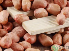 生花生吃多了會(huì)怎么樣？生花生吃多了會(huì)長(zhǎng)胖嗎？