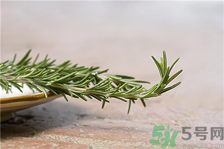 迷迭香的營(yíng)養(yǎng)價(jià)值 迷迭香的功效與作用
