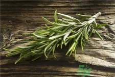 迷迭香的營(yíng)養(yǎng)價(jià)值 迷迭香的功效與作用