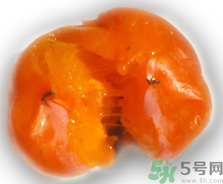 新鮮柿子皮可以吃嗎？吃了柿子皮怎么辦？