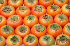 吃柿子喝酸奶會(huì)中毒嗎？吃柿子可以喝酸奶嗎？