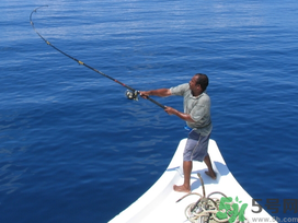 秋天釣鯉魚用什么味型？秋季釣鯉魚餌料味型