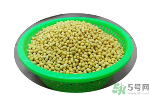 新鮮黃豆怎么保存？新鮮黃豆米如何保存？