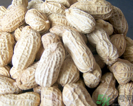 新鮮花生可以放冷凍嗎？新鮮花生可以放冰箱嗎？