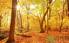 秋季幼兒如何預(yù)防感冒？秋季幼兒感冒怎么辦？