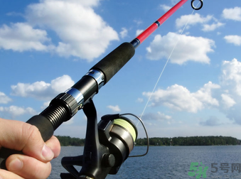 十月份釣什么魚？十月份釣魚技巧