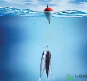 秋天釣魚深水還是淺水？秋天釣魚釣深水還是淺水？