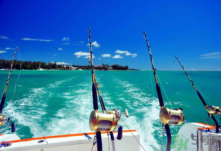 秋天釣魚深水還是淺水？秋天釣魚釣深水還是淺水？