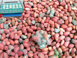 花生米發(fā)霉了還能吃嗎？花生米發(fā)霉了怎么辦？