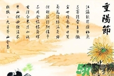 重陽(yáng)節(jié)吃什么好？重陽(yáng)節(jié)吃什么食物？