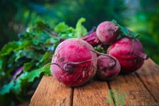 甜菜是蘿卜嗎？甜菜和蘿卜的區(qū)別