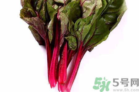 甜菜是蘿卜嗎？甜菜和蘿卜的區(qū)別