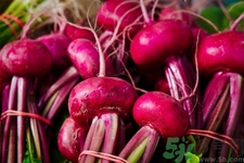吃甜菜有什么好處？吃甜菜對身體好嗎？