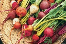 女性吃甜菜能排毒嗎？甜菜怎么吃最好？