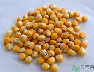 玉米用什么泡釣魚好？玉米怎么泡好釣魚？