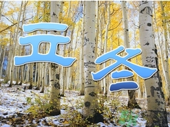 立冬可以栽樹嗎？立冬栽樹樹會死嗎？