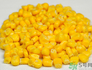 玉米粒怎么釣魚？怎么用玉米粒釣魚？