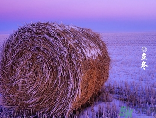 立冬可以釣魚嗎？立冬釣魚注意事項