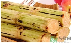 甘蔗過夜了能吃嗎？隔夜的甘蔗可以吃嗎？