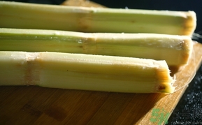 甘蔗過夜了能吃嗎？隔夜的甘蔗可以吃嗎？